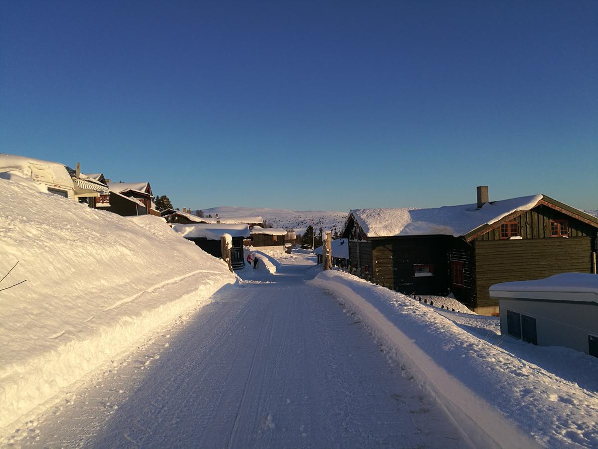 Апартаменти Sulseter Fjellstugu Вінстра Екстер'єр фото