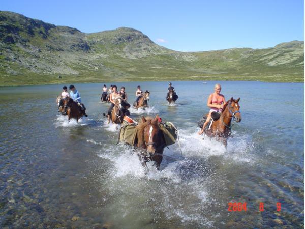 Апартаменти Sulseter Fjellstugu Вінстра Екстер'єр фото