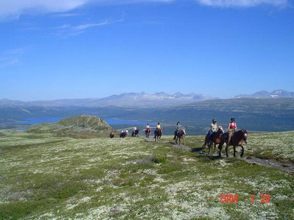 Апартаменти Sulseter Fjellstugu Вінстра Екстер'єр фото