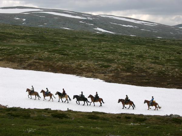 Апартаменти Sulseter Fjellstugu Вінстра Екстер'єр фото